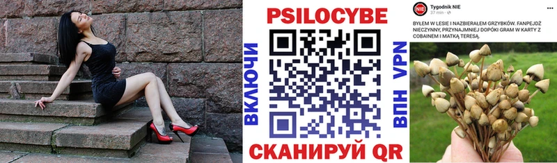 хочу наркоту  Тихвин  Псилоцибиновые грибы мухоморы 