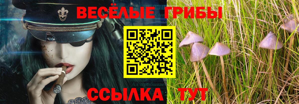 Тихвин  Галлюциногенные грибы MAGIC MUSHROOMS  Галлюциногенные грибы ЛСД  Вход с VPN 