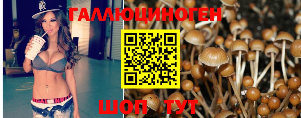 Галлюциногенные грибы мицелий Тихвин
